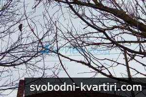 Двуетажна къща с гараж в с. Димитриево, община Чирпан Двуетажна къща с гараж в с. Димитриево, община Чирпан