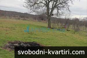 Двуетажна къща с гараж в с. Димитриево, община Чирпан Двуетажна къща с гараж в с. Димитриево, община Чирпан
