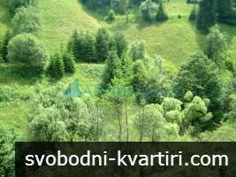 Парцел УПИ с къща и постройки в Чепеларе, област Смолян Парцел УПИ с къща и постройки в Чепеларе, област Смолян