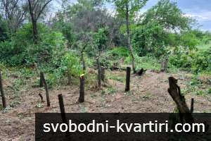 Масивна двуетажна къща с двор 2 145 кв.м в с. Старо Железаре Масивна двуетажна къща с двор 2 145 кв.м в с. Старо Железаре
