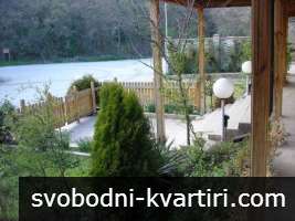 Стаи Златни пясъци Стаи Златни пясъци