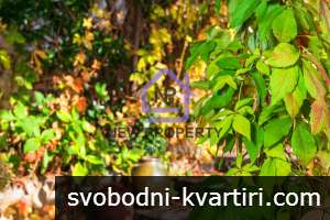 Изберете спокойствието, уюта и възможността за собствен бизнес едновременно с къща за живеене или отдаване под наем край Изберете спокойствието, уюта и възможността за собствен бизнес едновременно с къща за живеене или отдаване под наем край