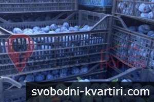 Овошна градина Овошна градина