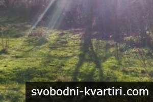Стара къща Веселиново - 7500лв. Стара къща Веселиново - 7500лв.