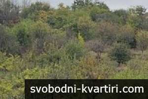 Дава под наем 2-стаен с гледка море гр. Бургас - Сарафово 50m² Дава под наем 2-стаен с гледка море гр. Бургас - Сарафово 50m²