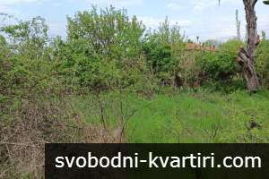 Къща с голямо дворно място, в гр. Българово Къща с голямо дворно място, в гр. Българово