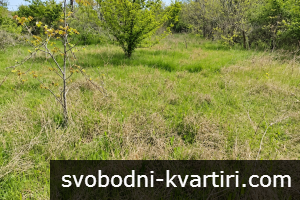 Къща с голямо дворно място, в гр. Българово Къща с голямо дворно място, в гр. Българово