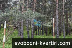 Продажба За жилищно строителство община Родопи - с. Бойково 1000m² Продажба За жилищно строителство община Родопи - с. Бойково 1000m²