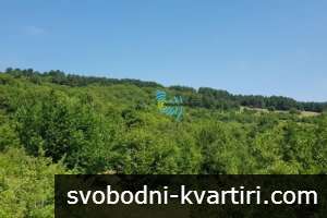 Парцел с Панорамна Гледка в Планината Парцел с Панорамна Гледка в Планината