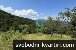Продава ПАРЦЕЛ в област Пловдив, с. Бойково - 3166 кв.м / 98000 EUR Продава ПАРЦЕЛ в област Пловдив, с. Бойково - 3166 кв.м / 98000 EUR