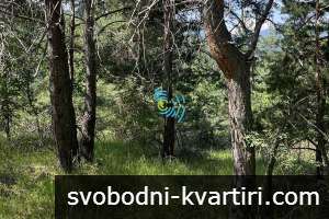 Продава ПАРЦЕЛ в област Пловдив, с. Бойково - 3166 кв.м / 98000 EUR Продава ПАРЦЕЛ в област Пловдив, с. Бойково - 3166 кв.м / 98000 EUR