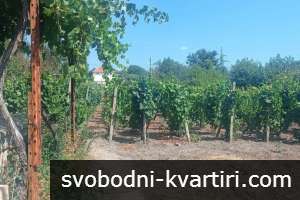 Вила- нов екарисаж Вила- нов екарисаж