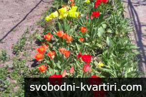 Къща в гр. Ветово Къща в гр. Ветово