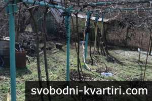 Парцел в Местност Дрибак Парцел в Местност Дрибак