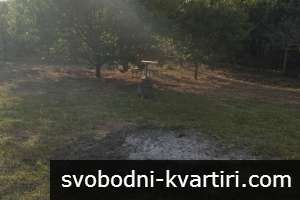 Къща в с. Борисово Къща в с. Борисово