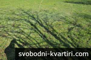 Парцел в с. Борисово Парцел в с. Борисово