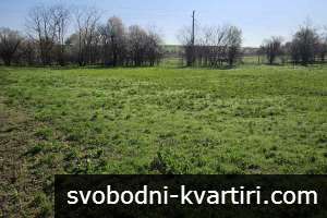 Парцел в с. Борисово Парцел в с. Борисово
