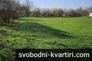 Парцел в с. Борисово Парцел в с. Борисово