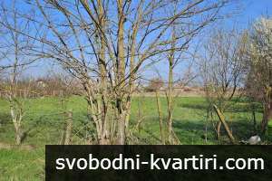 Парцел в с. Борисово Парцел в с. Борисово