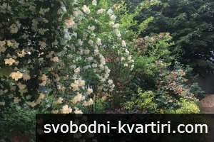 Етаж от къща в района на Център Етаж от къща в района на Център