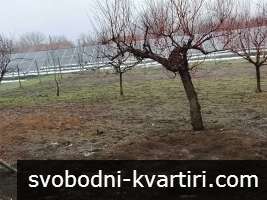 Къща в с. Борисово Къща в с. Борисово