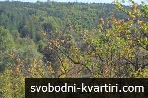 Вила в в.з. Липака Вила в в.з. Липака