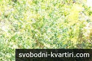 Вила в в.з. Липака Вила в в.з. Липака