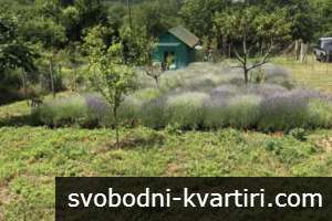 Продажба Вила гр. Русе - 850m² Продажба Вила гр. Русе - 850m²
