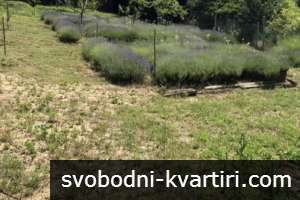 Продажба Вила гр. Русе - 850m² Продажба Вила гр. Русе - 850m²