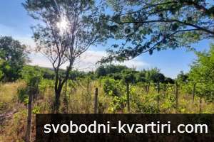 Парцел във в.з. Люляците 4850Е Парцел във в.з. Люляците 4850Е