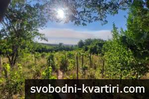 Парцел във в.з. Люляците 4850Е Парцел във в.з. Люляците 4850Е