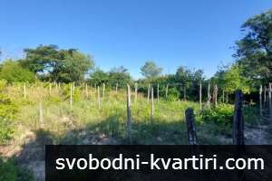 Парцел във в.з. Люляците 4850Е Парцел във в.з. Люляците 4850Е