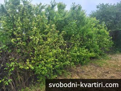 Урегулиран поземлен имот за продажба в с.Зорница,област Варна