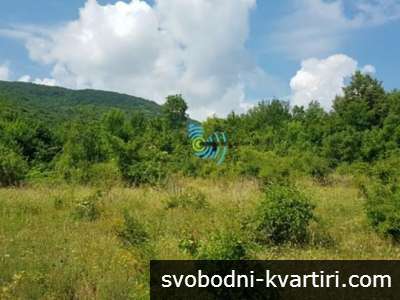 Парцел с Панорамна Гледка в Планината