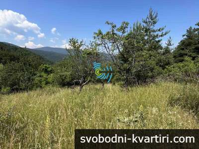 Продава ПАРЦЕЛ в област Пловдив, с. Бойково - 3166 кв.м / 98000 EUR