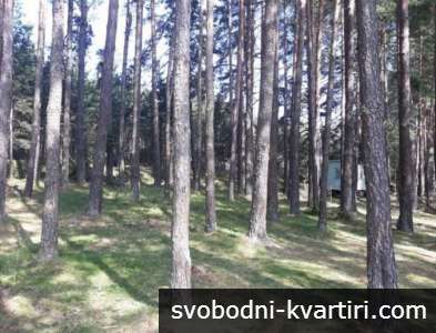 Балканско имение БОРОВА ГОРА