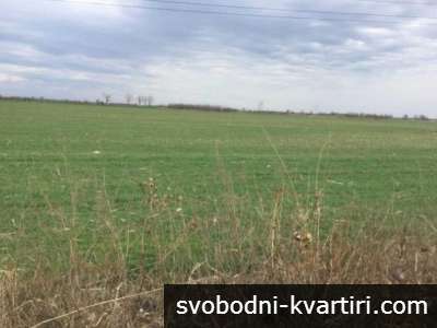 Продажба Земеделска земя гр. Русе - с. Червена вода 10300m²