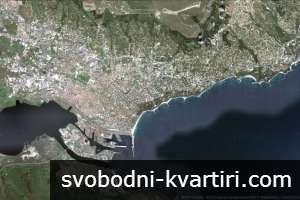 тест