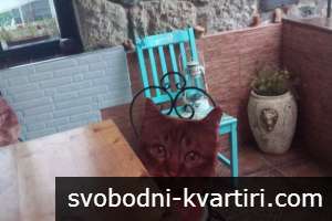 Стаи в Созопол Центъра на Стария Град