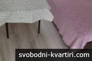 Давам под наем едностаен напълно обзаведен в Центъра -До ТЦ  ГРАНД-450лева-0899450421