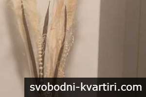 Даваме под наем двустаен апартамент в центъра на Пловдив