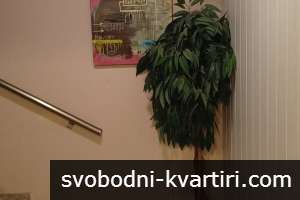 Свободен - 2 бани, 3 тоалетни Свободен - 2 бани, 3 тоалетни