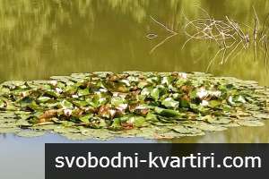 Стаи за гости в Старозагорски бани