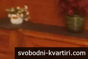 Даваме под наем двустаен апартамент в центъра на Пловдив