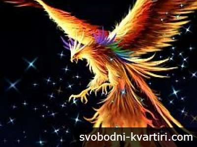 IT PHOENIX LTD 
