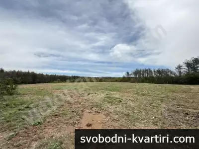 Парцел регулация