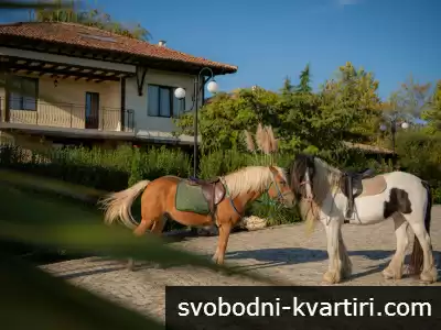 Еко Комплекс Албиция