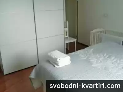 Самостоятелна Стая Каменица