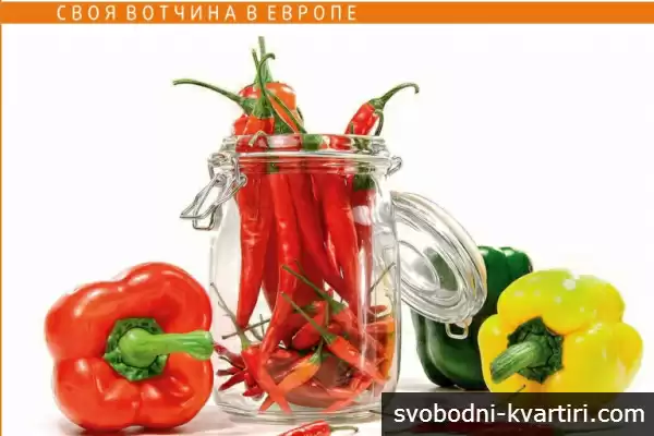 Руска Вотчина ООД