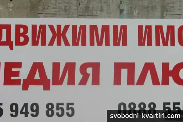 МЕДИЯ  ПЛЮС  2009  -  ЕООД